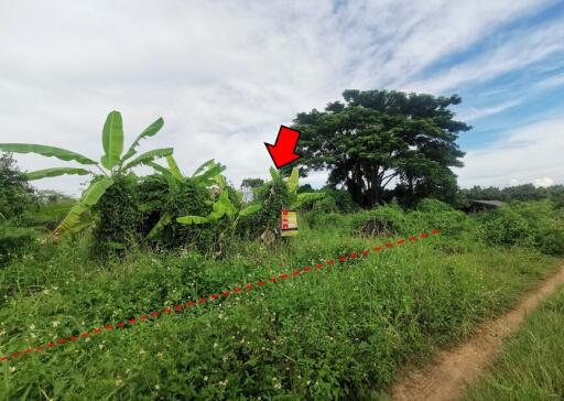 10,952 Sqm. Land listed for ฿ 1,725,000.