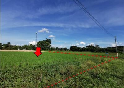 1,612 Sqm. Land listed for ฿ 1,693,000.