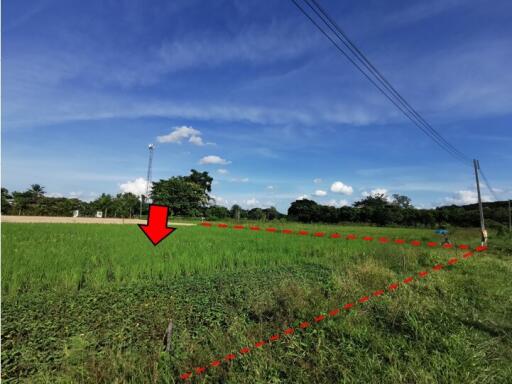 1,612 Sqm. Land listed for ฿ 1,693,000.