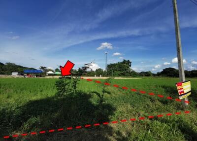1,588 Sqm., 1 Bed Land listed for ฿ 1,668,000.