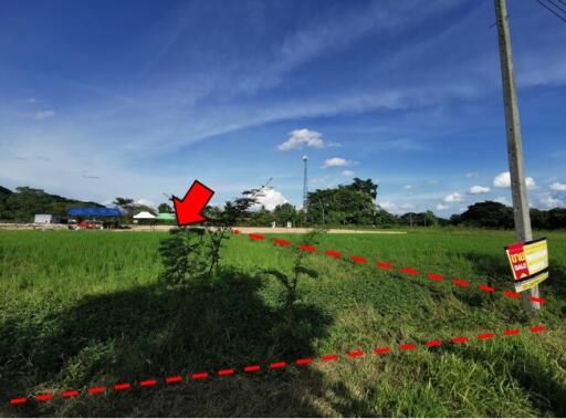 1,588 Sqm. Land listed for ฿ 1,668,000.