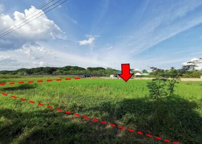 1,588 Sqm., 1 Bed Land listed for ฿ 1,668,000.