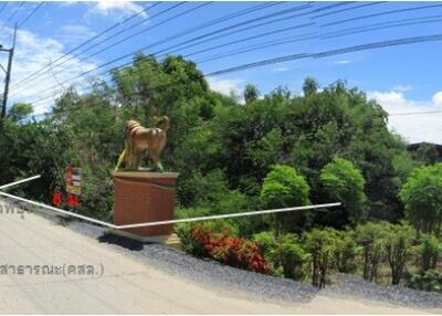 4,268 Sqm. Land listed for ฿ 1,665,000.