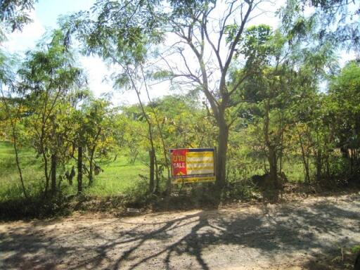 12,388 Sqm. Land listed for ฿ 1,626,000.