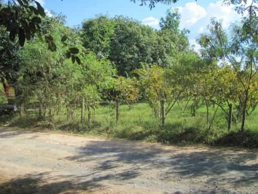 12,388 Sqm. Land listed for ฿ 1,626,000.