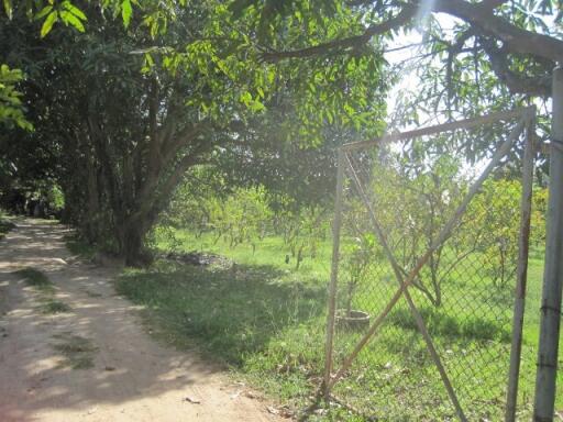 12,388 Sqm. Land listed for ฿ 1,626,000.