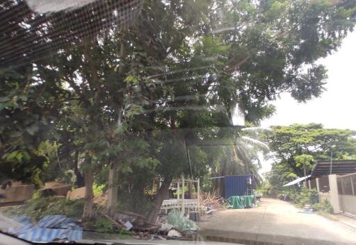 692 Sqm., 1 Bed Land listed for ฿ 1,384,000.