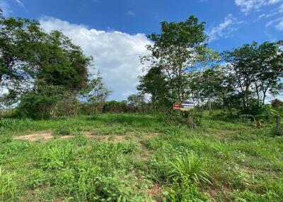 4,052 Sqm. Land listed for ฿ 1,596,000.