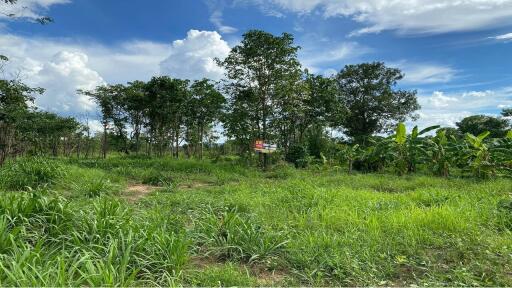 4,052 Sqm. Land listed for ฿ 1,596,000.