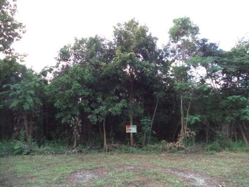 8,676 Sqm. Land listed for ฿ 1,595,000.