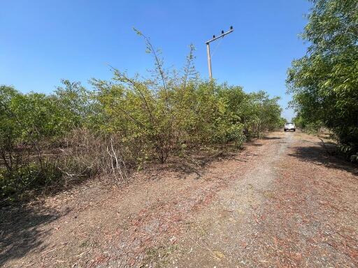 2,756 Sqm. Land listed for ฿ 1,592,000.
