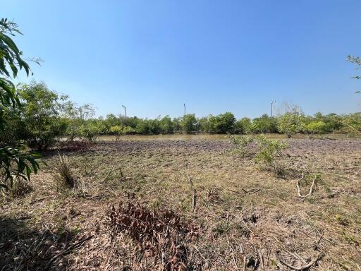 2,756 Sqm. Land listed for ฿ 1,592,000.
