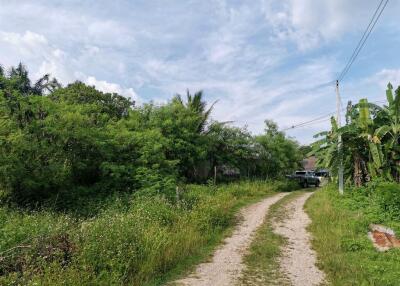 342 Sqm. Land listed for ฿ 1,439,000.