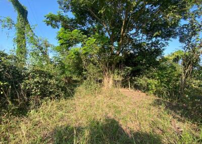 2,640 Sqm. Land listed for ฿ 1,386,000.