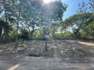 892 Sqm. Land listed for ฿ 1,335,000.