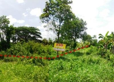16,828 Sqm. Land listed for ฿ 1,326,000.