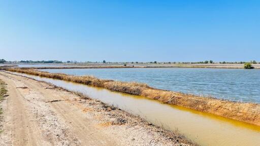 12,912 Sqm. Land listed for ฿ 1,322,000.