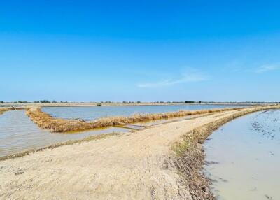 ที่ดิน บ้านคลัง ราคาพิเศษ!