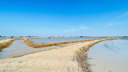 ที่ดิน บ้านคลัง ราคาพิเศษ!