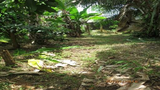 400 Sqm. Land listed for ฿ 1,260,000.