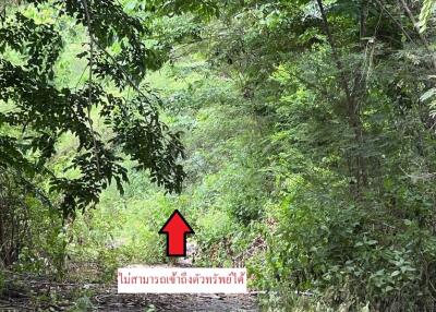 ที่ดิน บึงบา(คลองซอยที่ 9 ฝั่งตะวันออก) ราคาพิเศษ!