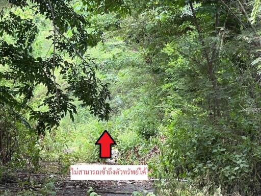 1,624 Sqm. Land listed for ฿ 1,231,000.