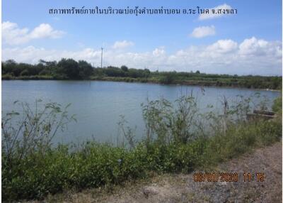20,160 Sqm., 1 Bed Land listed for ฿ 1,218,000.