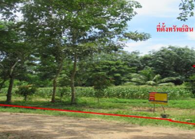 1,592 Sqm. Land listed for ฿ 820,000.