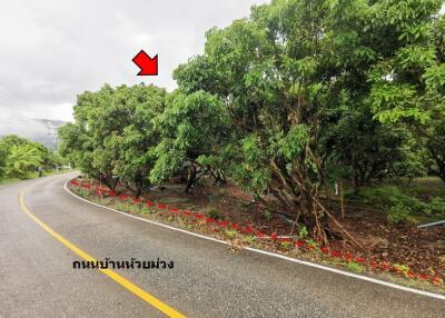 4,252 Sqm., 1 Bed Land listed for ฿ 1,117,000.