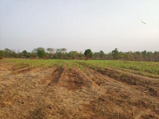 ที่ดิน หนองบัวใต้ ราคาพิเศษ!