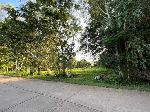 3,956 Sqm. Land listed for ฿ 850,000.