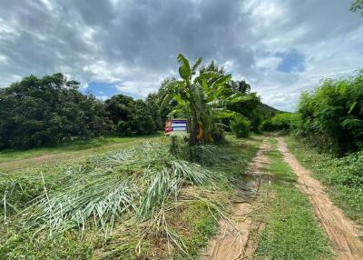 11,746 Sqm. Land listed for ฿ 1,080,000.