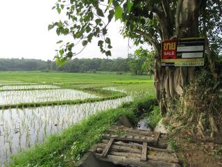 ที่ดิน แม่หอพระ ราคาพิเศษ!