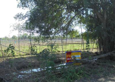 1,600 Sqm. Land listed for ฿ 1,050,000.