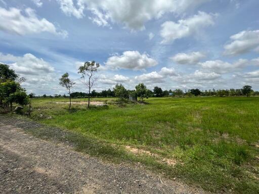 5,920 Sqm. Land listed for ฿ 1,011,000.