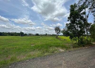 5,920 Sqm. Land listed for ฿ 1,011,000.