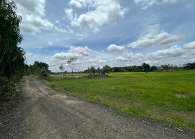 5,920 Sqm. Land listed for ฿ 1,011,000.