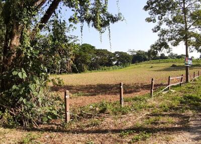 2,132 Sqm. Land listed for ฿ 820,000.