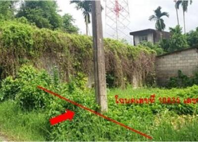 273 Sqm. Land listed for ฿ 1,005,000.