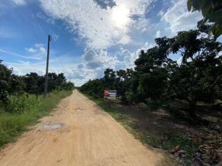 10,080 Sqm. Land listed for ฿ 993,000.