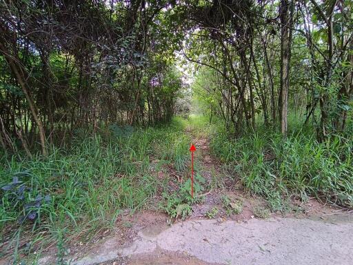 1,258 Sqm. Land listed for ฿ 991,000.