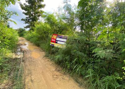 9,868 Sqm. Land listed for ฿ 972,000.