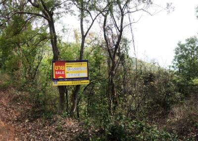 36,640 Sqm. Land listed for ฿ 962,000.