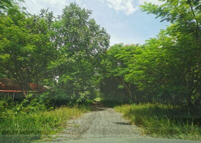 900 Sqm., 1 Bed Land listed for ฿ 945,000.