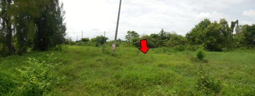 1,198 Sqm. Land listed for ฿ 944,000.