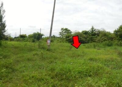 1,198 Sqm., 1 Bed Land listed for ฿ 944,000.