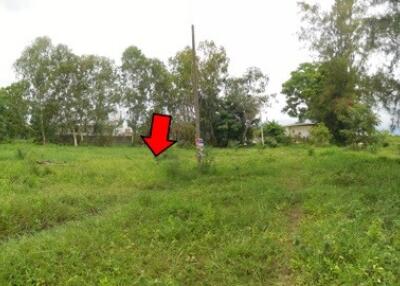 1,198 Sqm., 1 Bed Land listed for ฿ 944,000.