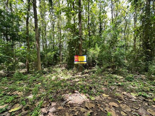 3,568 Sqm. Land listed for ฿ 937,000.