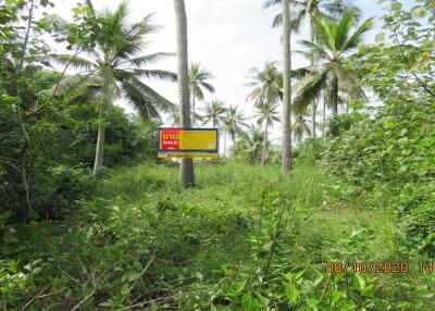 8,184 Sqm. Land listed for ฿ 931,000.