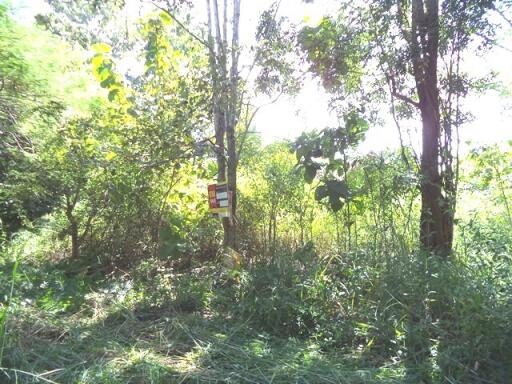 1,768 Sqm. Land listed for ฿ 929,000.